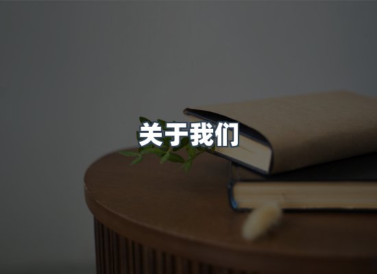 关于我们